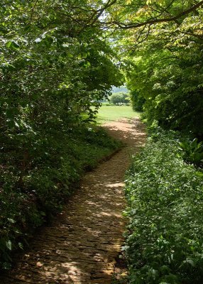 2011-04-27_9663.jpg