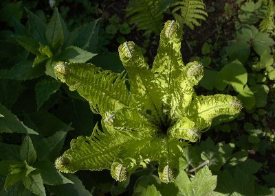 2011-04-27_9673.jpg