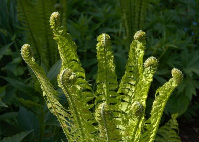 2011-04-27_9674.jpg