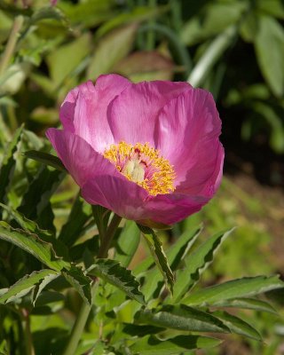 2011-04-27_9679.jpg
