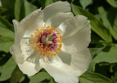 2011-04-27_9680.jpg