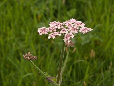 2011-05-19_9882.jpg