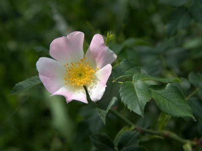 2011-05-19_9884.jpg