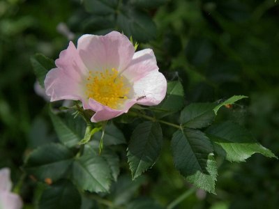2011-05-19_9886.jpg
