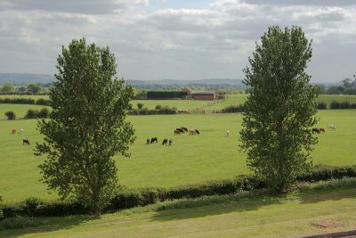 2011-05-19_9893.jpg