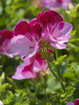 2011-06-04_0073.jpg