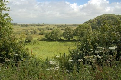 Whiteford Burrows National Nature Reserve
