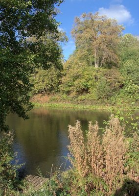 2011-10-22_2774.jpg