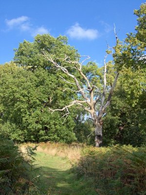 2011-10-22_2794.jpg
