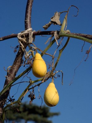 2011-10-22_2847.jpg