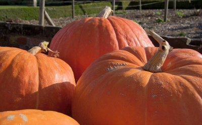 2011-10-22_2853.jpg