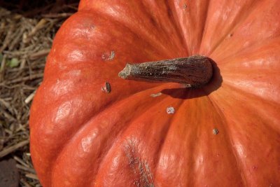 2011-10-22_2855.jpg