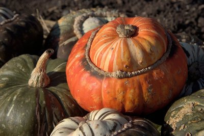 2011-10-22_2856.jpg