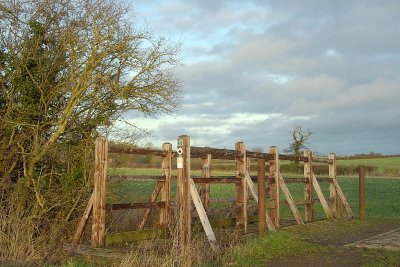 2011-12-25_3184.jpg
