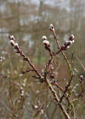 2012-03-22_4201.jpg