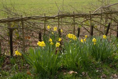 2012-03-22_4289.jpg