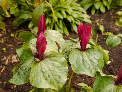 2012-04-21_4869.jpg