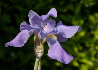 2012-05-29_5189.jpg