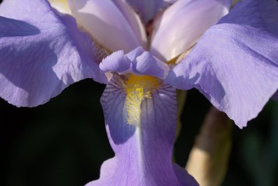 2012-05-29_5194.jpg