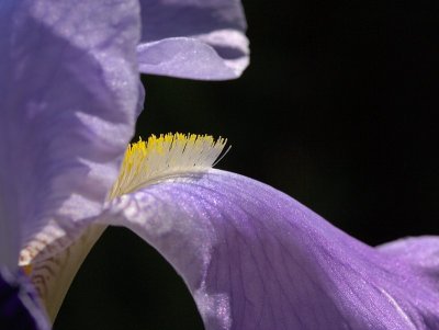 2012-05-29_5202.jpg