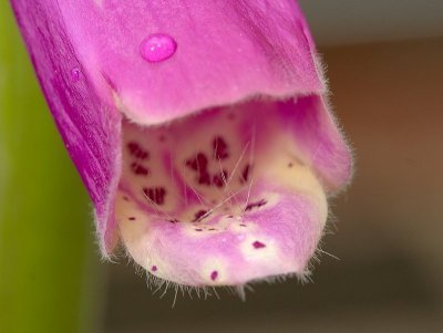 2012-06-15_5730.jpg