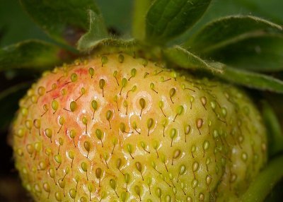 2012-06-15_5761.jpg