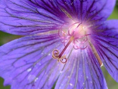 2012-06-15_5787.jpg