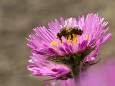 Canon 600D: First Photographs
