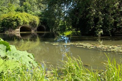 2012-07-24_1267.jpg