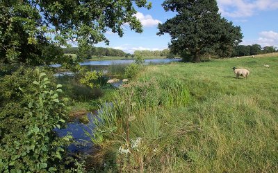 2012-08-18_1739.jpg