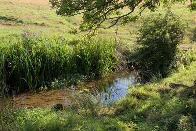 2012-08-18_1742.jpg
