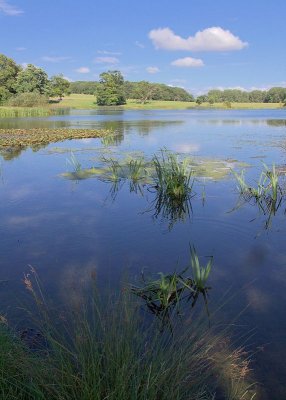 2012-08-18_1745.jpg