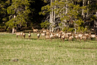 big-horns-may-21-22-12-125.jpg