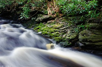 Bushkill Falls, PA