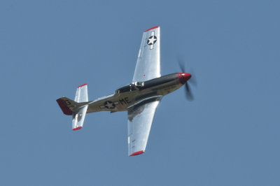 g4/31/450331/3/143258834.cQ8YMJ1S.jpg