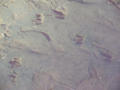 P6080036