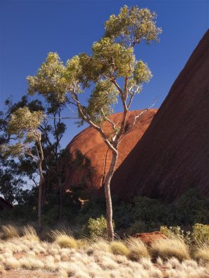 Yulara and Uluru-Kata Tjuta National Park June 26 and 27