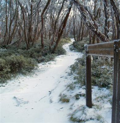 Australian Alpine Walking Track