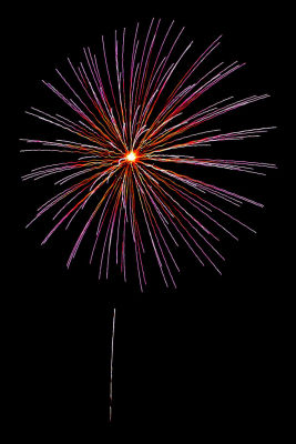 IMG_3123b.jpg