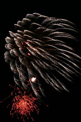IMG_3145a.jpg