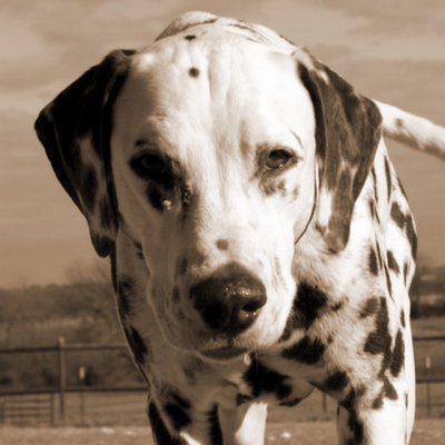 Monty