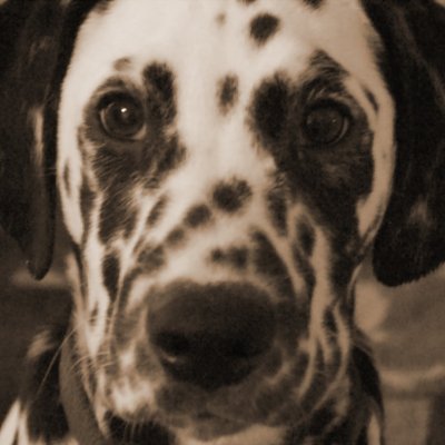 Nora