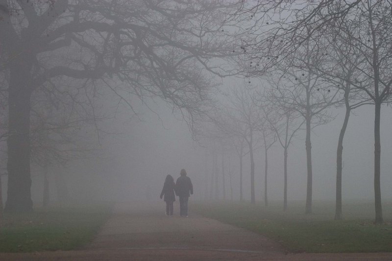 Walking into the mist