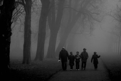 Family stroll in the park