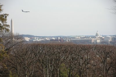 Picture 130.jpg