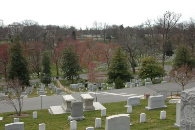 Picture 167.jpg