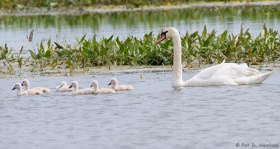 Mom and kids 