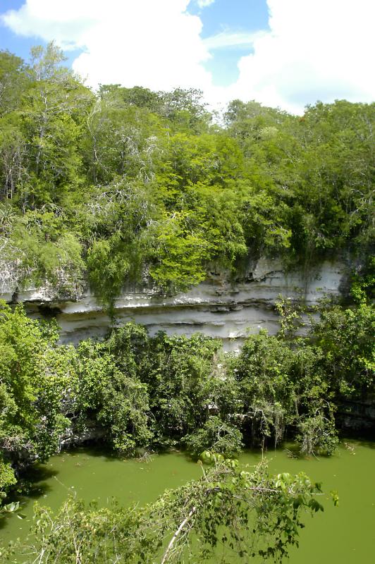 Sacred Cenote 6511