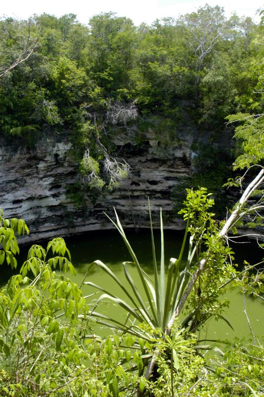 Sacred Cenote 6518