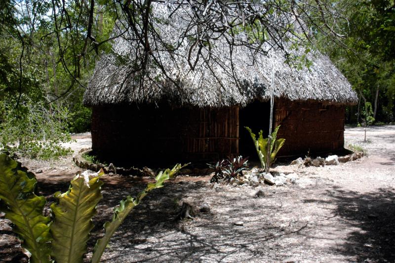 Reproduction Mayan hut 6605
